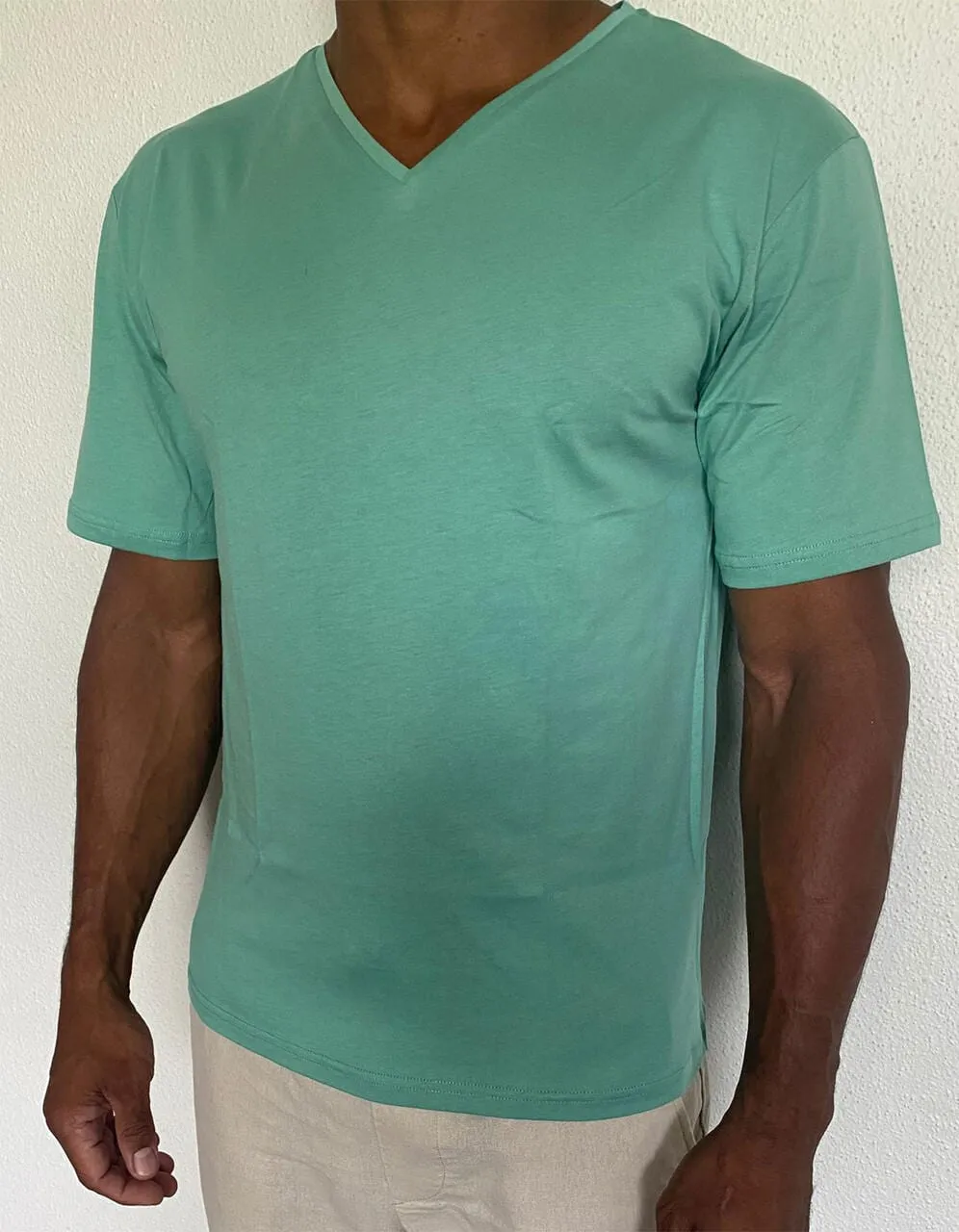 325313 T-Shirt Col 42 100% BioCotton Jersey